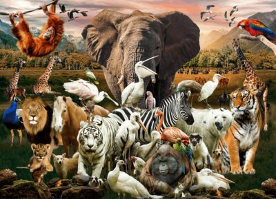 ANIMALS PUZZLE 1000 PCS.